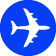 Flying